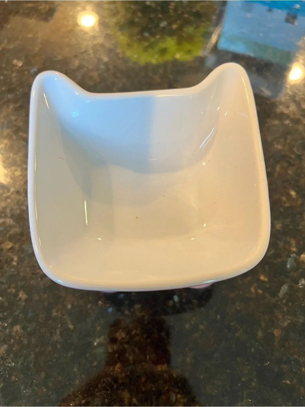 Pink Pet Feeding Ceramic Square Dish